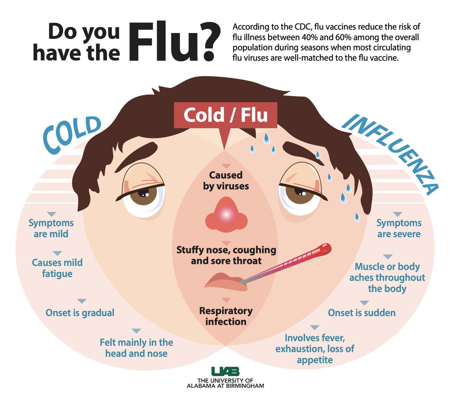 Influenza (flu) is a contagious respiratory illness caused by influenza